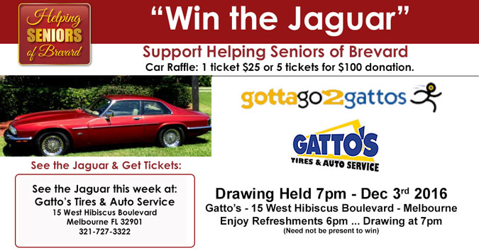 Win the Jaguar - Gatto's Hibiscus