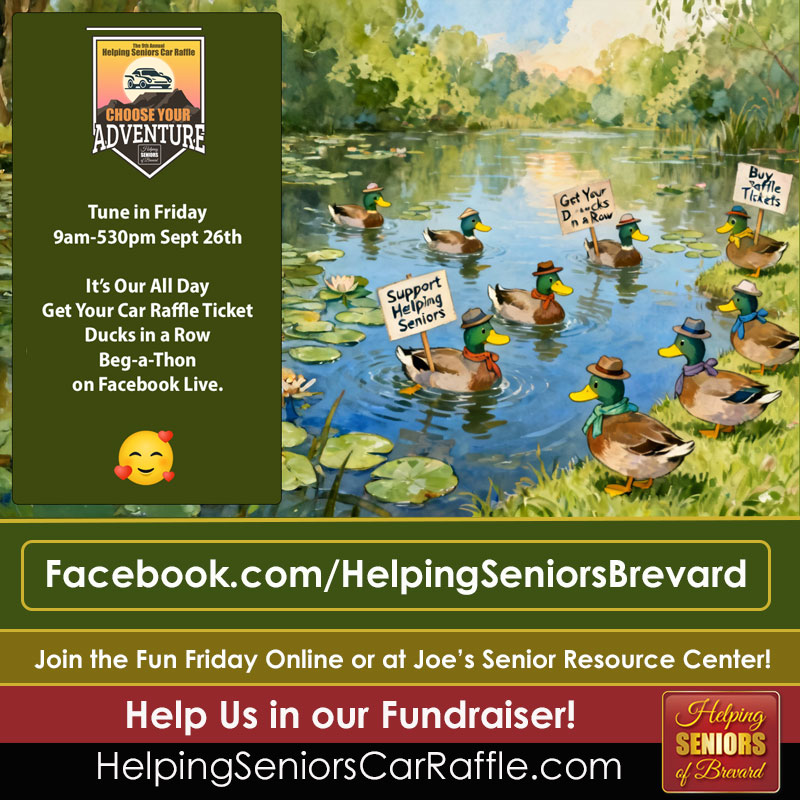 Helping Seniors Fundraiser