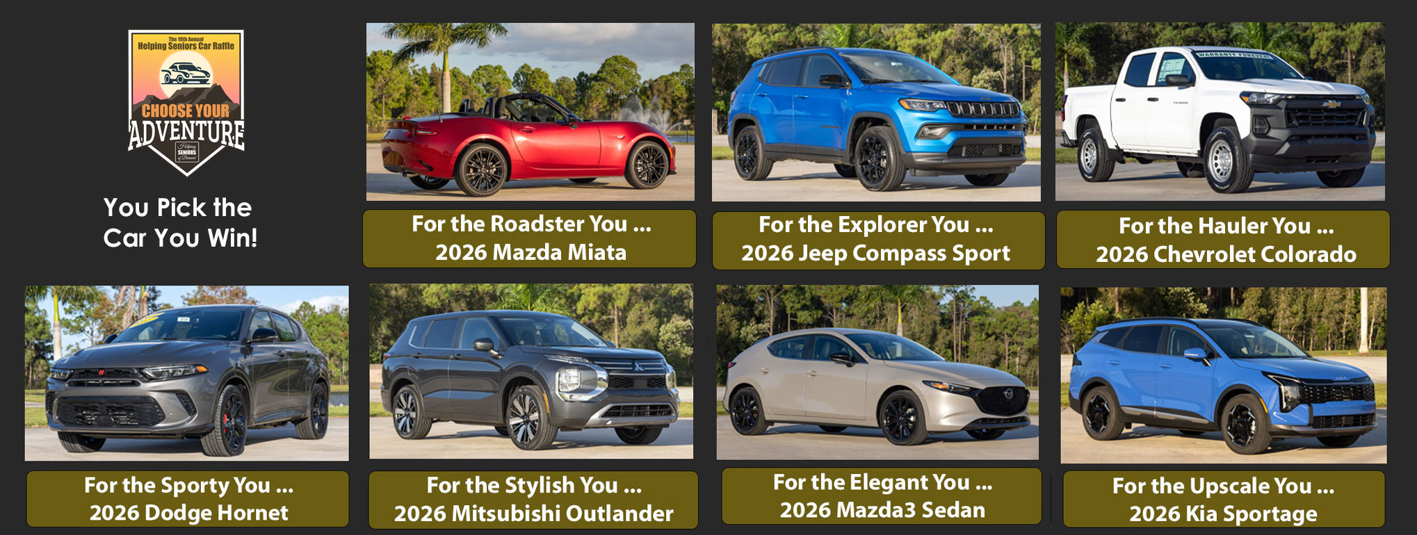 Helping Seniors 2026 Car Raffle Choices